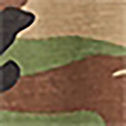 Woodland Camo