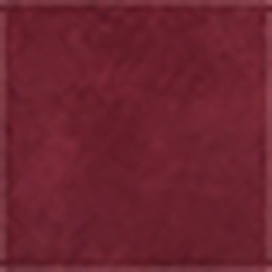 Berry