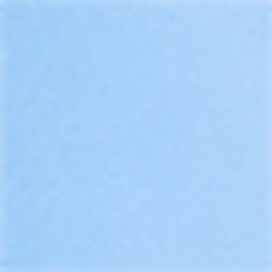 Blue Flower