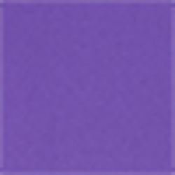 Purple Cactus