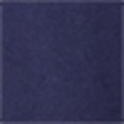French Navy