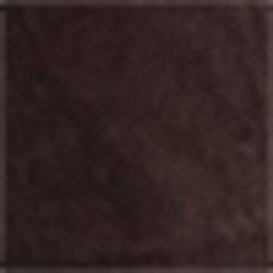 Squire Brown
