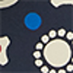 Navy Geo