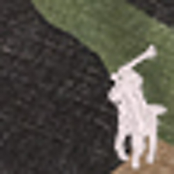 Camo/ Pink Pp