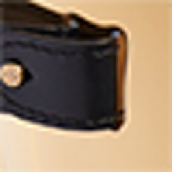 Black/Gold