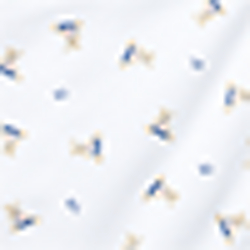 Blue/White