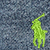 Denim/Lime