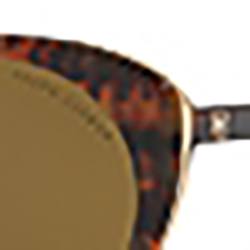 Havana Jerry
