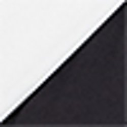 Black/White