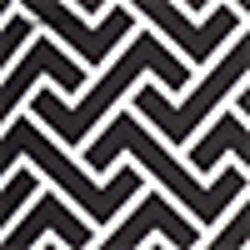 Polo B/W Deco Print