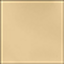 Polished Bronze