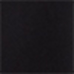 Polo Black