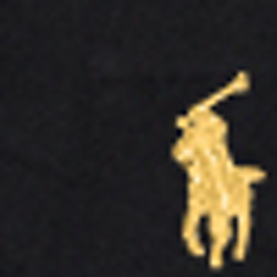 Polo Black