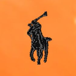 Shocking Orange