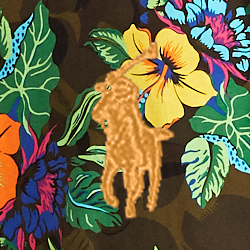 Surplus Floral