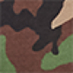 Camouflage militare
