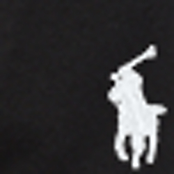 Polo Black