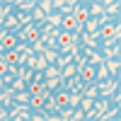 Blue Multi