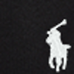 Polo Black