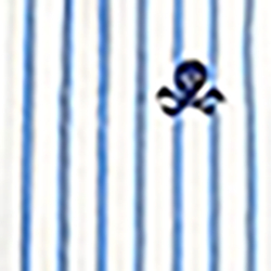 Skull And Bones
