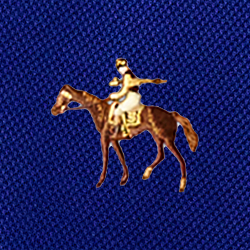 Bleu roi