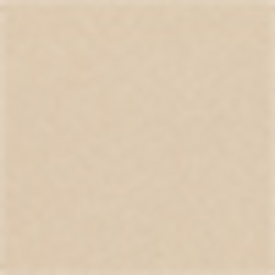 Birch Tan
