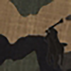 Camo
