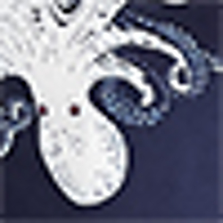 Octopus Print