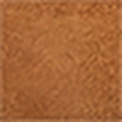 Toast/Toast