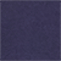 French Navy