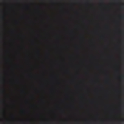 Polo Black