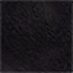 Polo Black