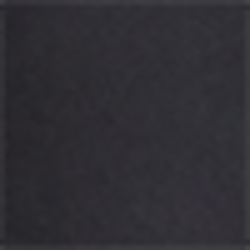 Polo Black