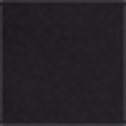 Polo Black