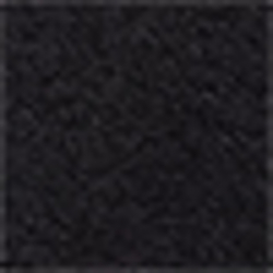 Polo Black