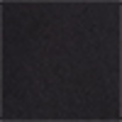 Polo Black