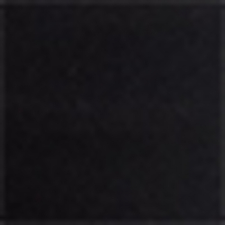 Polo Black