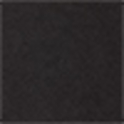 Polo Black