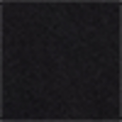 Polo Black