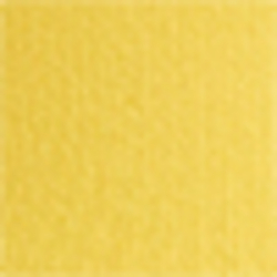 Regatta Yellow