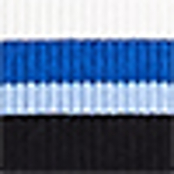 Blue Ocean Multi