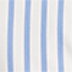 Blue/White