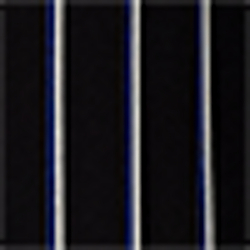 Polo Black Multi