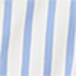 Blue/White