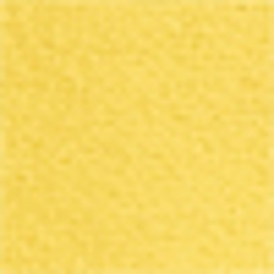 Regatta Yellow