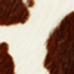 Brown/Cream