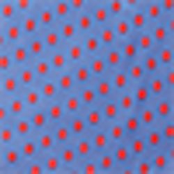 Navy/Red