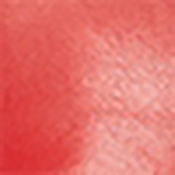 Salsa