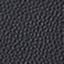 Black/Taupe