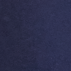 Cruise Navy